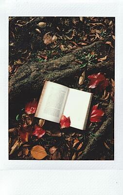 Lonely Book